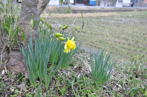 ?�����줫�鼡���Ⱥ餭�ޤ�