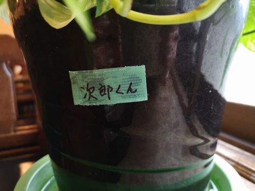 ¡Ö¼¡Ïº¤¯¤ó¡×¤Ç¤¹