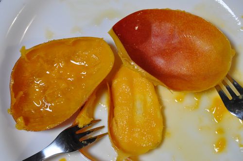 �Ȥ������Ȥǡ������Ǥ�