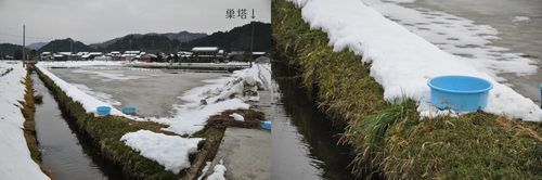 ����Τ��Фˤ��Ĥ����饤�α¾줬����ޤ�