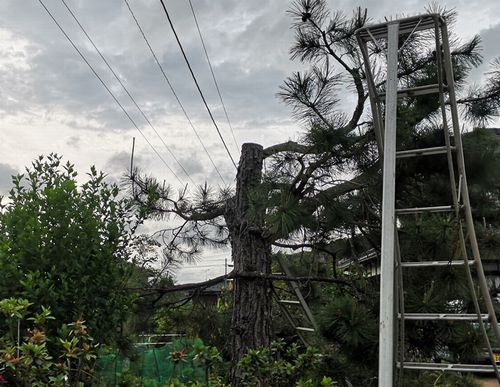 ����������ξ������ꤷ�ޤ���