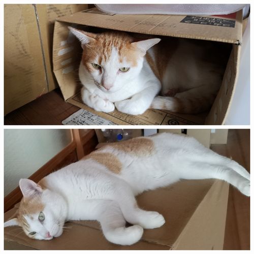 �����ʾ����뿲�Ǥ�