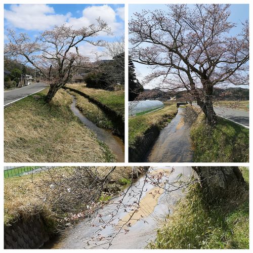 ��褤�κ���