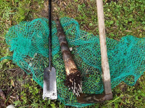 ��������٤��Τ����ܤǤ���