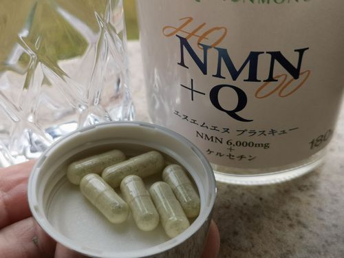 ���������ץ������³���Ƥ��ޤ�