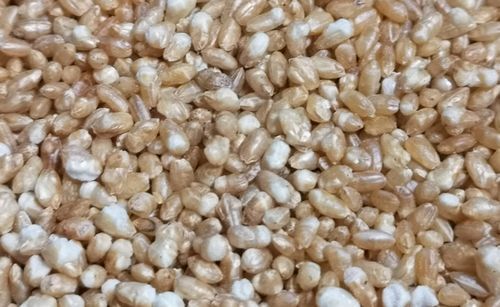 �Ƥ������Ƥϥݥåץ�����Τ褦�ˤʤ�ޤ�