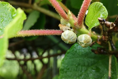 ¥¥¦¥¤¥Õ¥ë¡¼¥Ä¤â