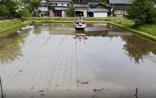 Ä«£¹»þ¤ËÅÄ¿¢³«»Ï