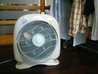 �����Ϥ��ä������Ρֿ��Ӥ����