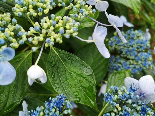 ���λ��۲֤�����Ǩ��� (4)