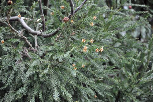 ��ǯ����٤Ƥ����־��ʤ��褦�Ǥ���