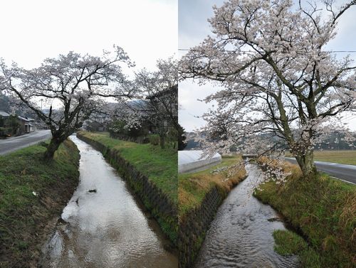 ��褤�Υ��ᥤ�襷�Τ������ˤʤ�ޤ��� ��