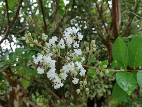 ��֤Υ��륹�٥꤬�餭�Ϥ�ޤ���