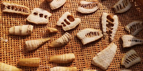 ͼÊý¤Ë¤Ï¤À¤¤¤Ö´¥¤¤Þ¤·¤¿