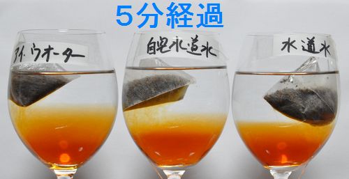 ��ʬ�в�