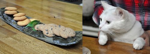 「おー!おいしそうなクッキーだなー!」