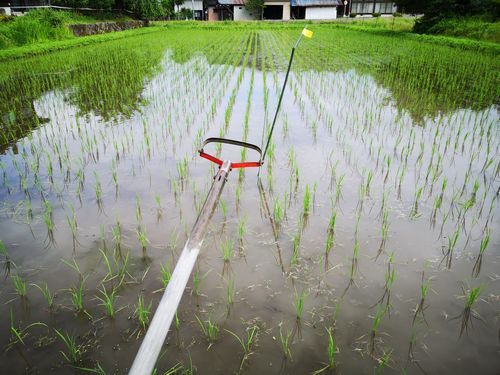 ��������Ϻ����