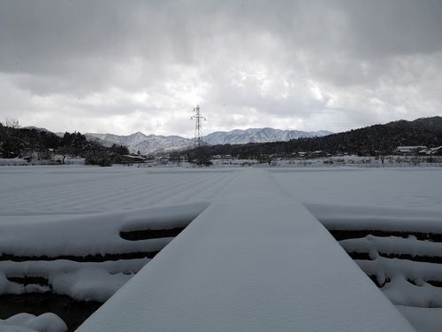 ÅĤó¤Ü¤ÏºÆ¤ÓÀã·Ê¿§¤Ç¤¹ (2)