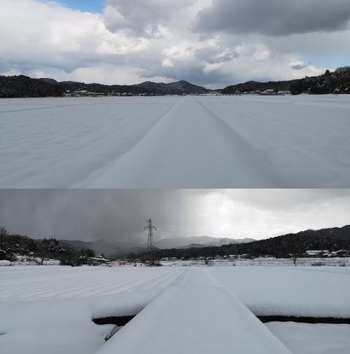 �Ĥ�ܤϰ��̶������Ǥ�