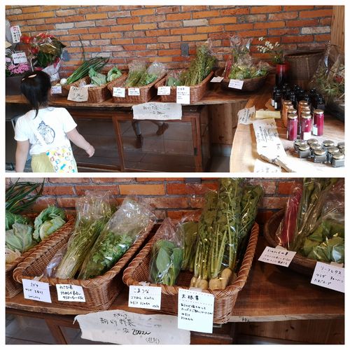 ¥ª¡¼¥¬¥Ë¥Ã¥¯¤ªÌîºÚ¤È²Ã¹©Éʤ¬ÈÎÇä