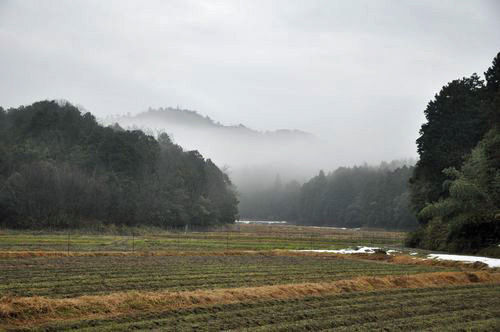 Τ������ͻ���Τ��