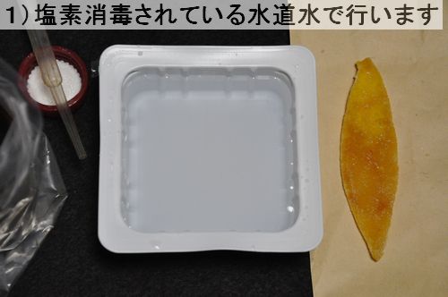 ���˱��Ǿ��Ǥ���Ƥ����ƻ��ǹԤ��ޤ�