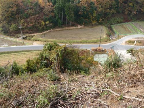 山の上から下界を見ると気持ちがいいです