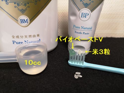 ���̤�´����ޤ���