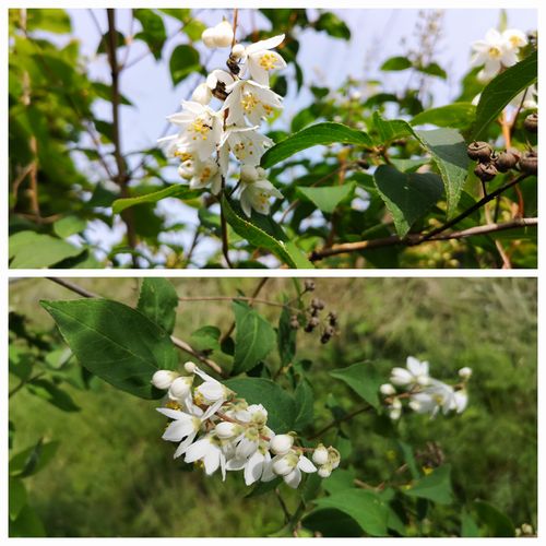 ¶õÌÚ¤¬ºé¤»Ï¤á¤Þ¤·¤¿