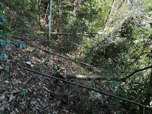 �٤��ߤ��ڤ����Ȳ�Τ��ޤ���