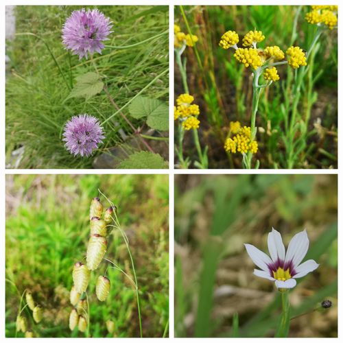 �����ĥ����ϥϥ����������Х󥽥����˥良�����祦������Ǥ�