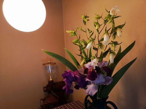 ���Ӥ��������ۥ���֥�������Ũ�Ǥ�