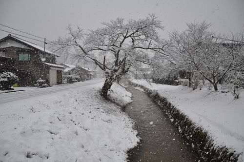 ���ä����㲽�Ѥˤʤ�ޤ���