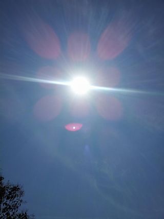 ��������ۤ��֤䤫�ǵ������������Ǥ��͡�