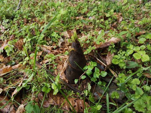 ���Ф��Ƥ��ޤ���