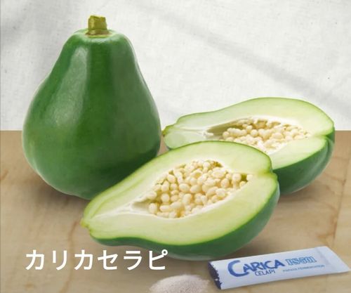 �����ˤ�����äƺ���Ƥ��뤳�ȤǤ�