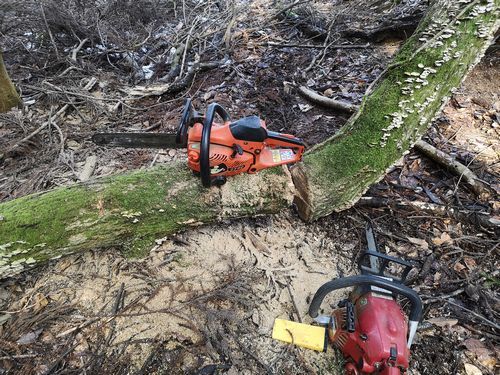 ̵��������