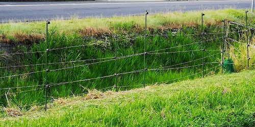 Æó½Å¤ËÅŵ¤ºô¤òÀßÃÖ¤·¤Þ¤·¤¿