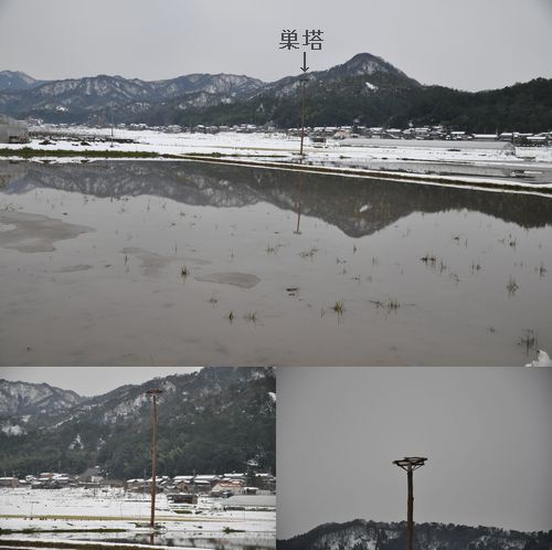 ��¼��ɽ���Ĥ�ܤ��ߴ�ù�夵��