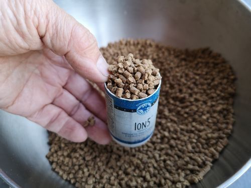 ��Ȣ�����ꣳ�������ޤ�����������