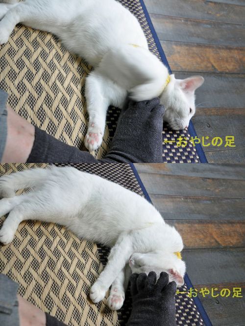 �ߡ�����󤬰�������ޤ���