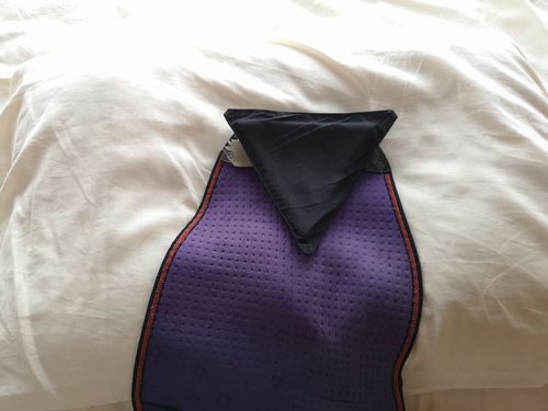 ���ξ�˾ﲹ���ֳ������ͤΥХ�����С�