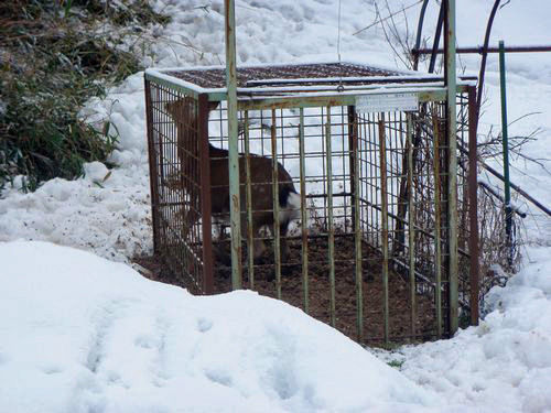 �᤯����ͥ���ˡּ���