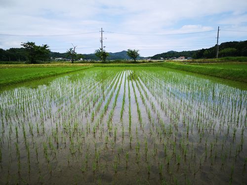 �Ŀ��売�����ܤǤ�