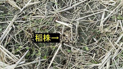 �𴢵����Ϻݤ����ڤ�ޤ���