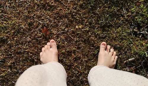 ��­�ˤʤäƥ������󥰤��ʤ������۶Ż�򤷤ޤ���