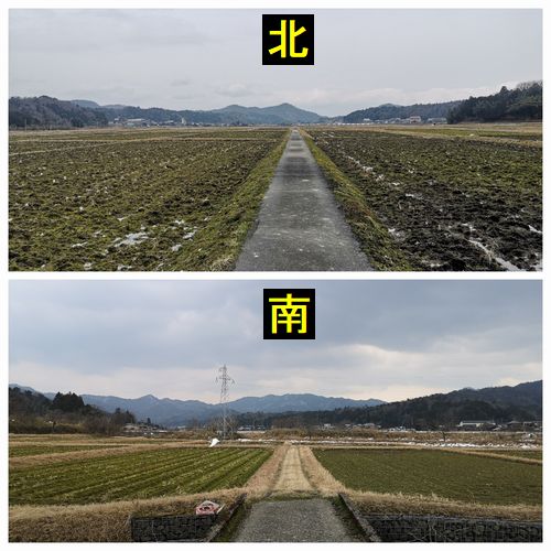 £²·î£±£µÆü