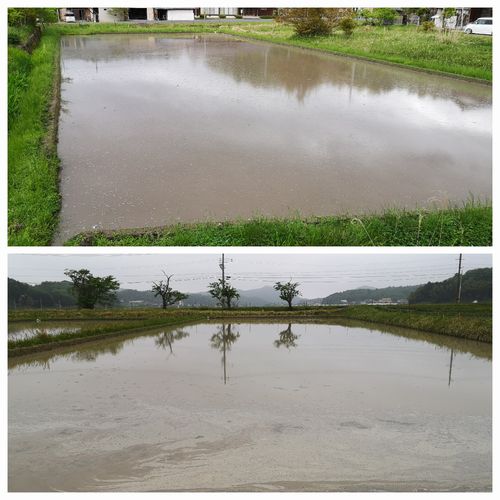 £±²óÌܤÎÂåÁߤ¤¬½ª¤ï¤ê¤Þ¤·¤¿