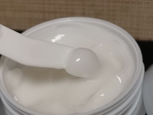�����륤���󷿤Υ��륯�꡼�ब�֥ƥ�ε����פǤ�