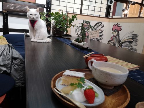 �ߡ�����󤬡֤����ʡ���